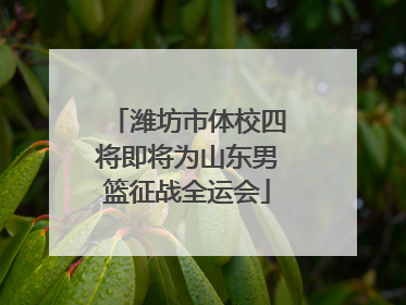 潍坊市体校四将即将为山东男篮征战全运会