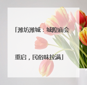潍坊潍城：城隍庙会重启，民俗味拉满
