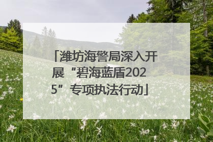潍坊海警局深入开展“碧海蓝盾2025”专项执法行动
