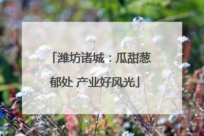 潍坊诸城：瓜甜葱郁处 产业好风光