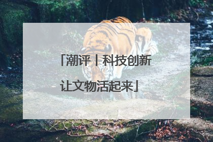 潮评丨科技创新让文物活起来