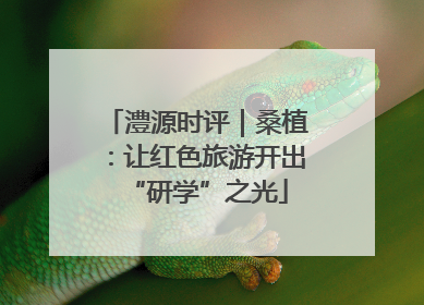 澧源时评｜桑植：让红色旅游开出“研学”之光