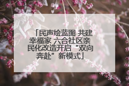 民声绘蓝图 共建幸福家 六合社区亲民化改造开启“双向奔赴”新模式