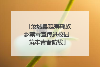 汝城县延寿瑶族乡禁毒宣传进校园 筑牢青春防线