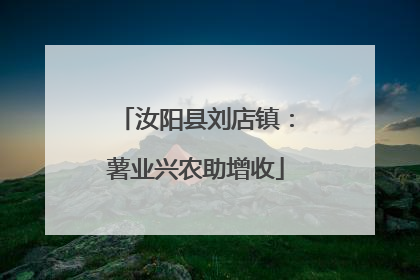 汝阳县刘店镇：薯业兴农助增收