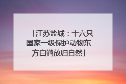 江苏盐城：十六只国家一级保护动物东方白鹳放归自然