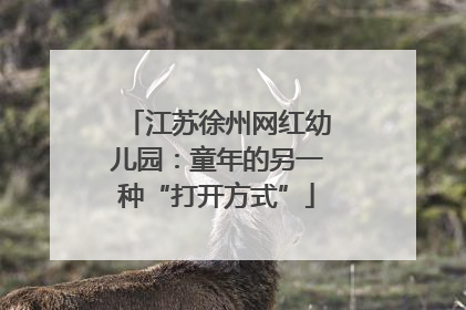 江苏徐州网红幼儿园：童年的另一种“打开方式”