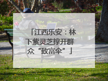 江西乐安：林下紫灵芝撑开群众“致富伞”