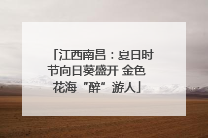 江西南昌：夏日时节向日葵盛开 金色花海“醉”游人