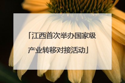 江西首次举办国家级产业转移对接活动