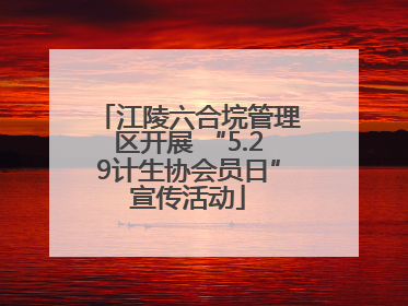 江陵六合垸管理区开展 “5.29计生协会员日”宣传活动