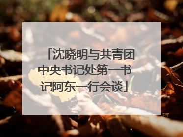 沈晓明与共青团中央书记处第一书记阿东一行会谈