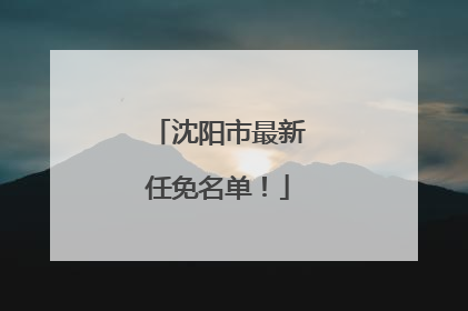 沈阳市最新任免名单！