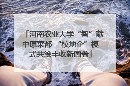 河南农业大学“智”献中原菜都 “校地企”模式共绘丰收新画卷