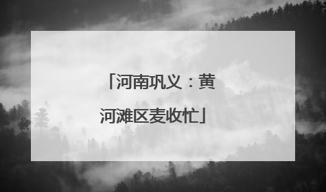 河南巩义：黄河滩区麦收忙