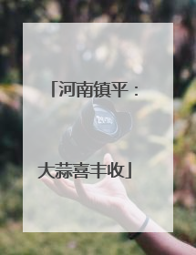 河南镇平：大蒜喜丰收