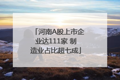 河南A股上市企业达111家 制造业占比超七成
