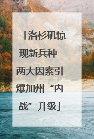 洛杉矶惊现新兵种 两大因素引爆加州“内战”升级
