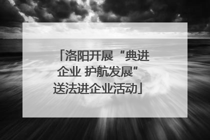 洛阳开展“典进企业 护航发展”送法进企业活动