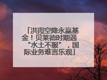 洪霞空降永赢基金！贝莱德时期遇“水土不服”，国际业务难言乐观
