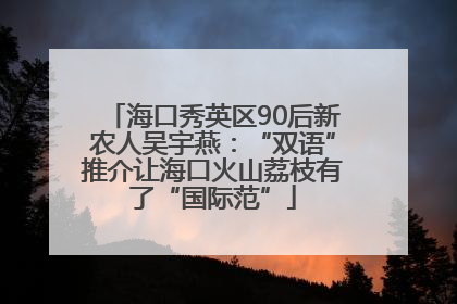 海口秀英区90后新农人吴宇燕：“双语”推介让海口火山荔枝有了“国际范”
