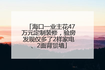 海口一业主花47万元定制装修，验房发现仅多了2样家电、2面背景墙