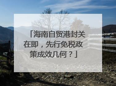 海南自贸港封关在即，先行免税政策成效几何？