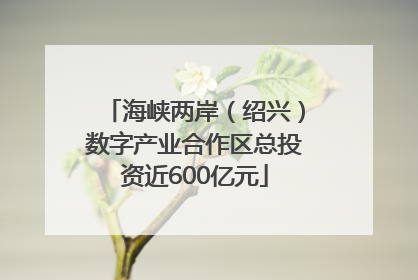海峡两岸（绍兴）数字产业合作区总投资近600亿元