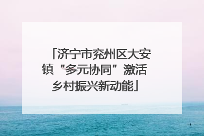 济宁市兖州区大安镇“多元协同”激活乡村振兴新动能
