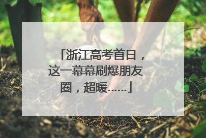 浙江高考首日，这一幕幕刷爆朋友圈，超暖……