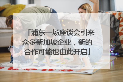 浦东一场座谈会引来众多新加坡企业，新的合作可能也由此开启