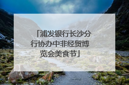 浦发银行长沙分行协办中非经贸博览会美食节