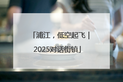 浦江，低空起飞｜2025对话街镇