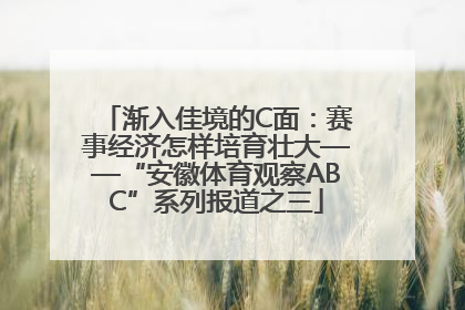 渐入佳境的C面：赛事经济怎样培育壮大——“安徽体育观察ABC”系列报道之三