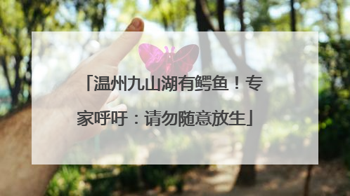 温州九山湖有鳄鱼！专家呼吁：请勿随意放生