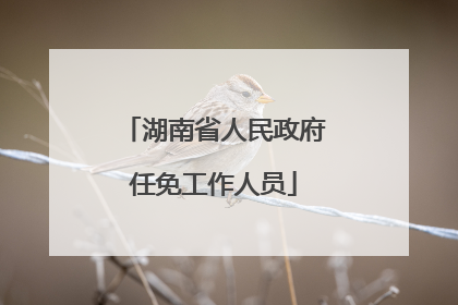 湖南省人民政府任免工作人员