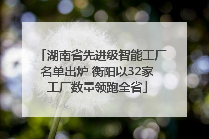 湖南省先进级智能工厂名单出炉 衡阳以32家工厂数量领跑全省