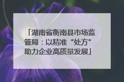 湖南省衡南县市场监管局：以精准“处方”助力企业高质量发展