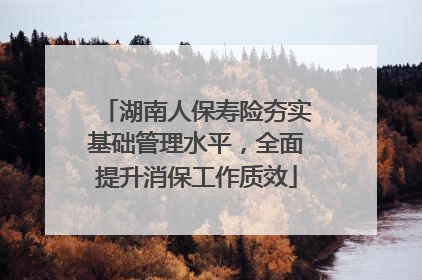 湖南人保寿险夯实基础管理水平，全面提升消保工作质效