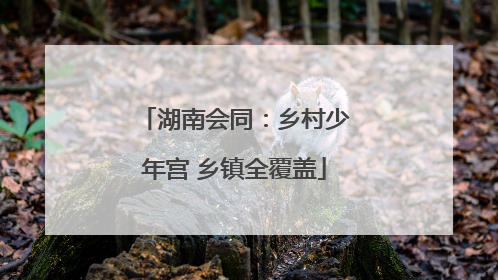湖南会同：乡村少年宫 乡镇全覆盖