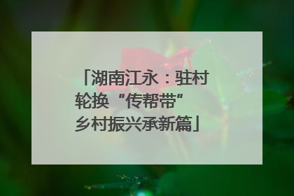 湖南江永：驻村轮换“传帮带” 乡村振兴承新篇