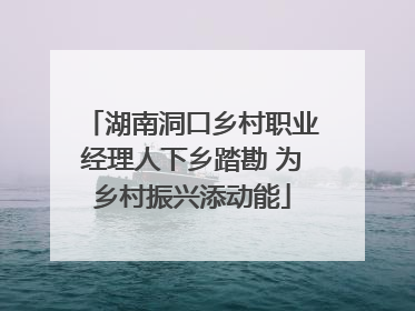 湖南洞口乡村职业经理人下乡踏勘 为乡村振兴添动能