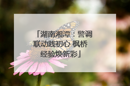 湖南湘潭：警调联动践初心 枫桥经验焕新彩