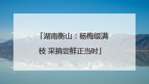 湖南衡山：杨梅缀满枝 采摘尝鲜正当时
