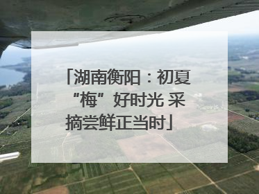 湖南衡阳：初夏“梅”好时光 采摘尝鲜正当时