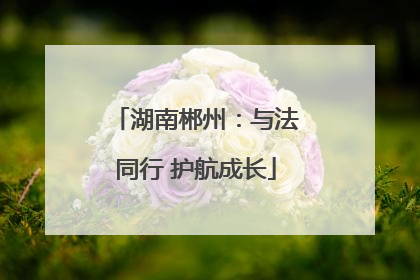 湖南郴州：与法同行 护航成长