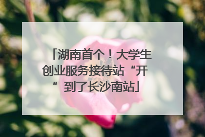 湖南首个！大学生创业服务接待站“开”到了长沙南站