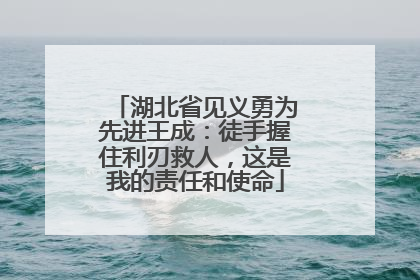 湖北省见义勇为先进王成：徒手握住利刃救人，这是我的责任和使命