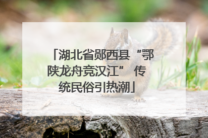 湖北省郧西县“鄂陕龙舟竞汉江” 传统民俗引热潮