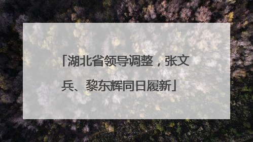 湖北省领导调整，张文兵、黎东辉同日履新
